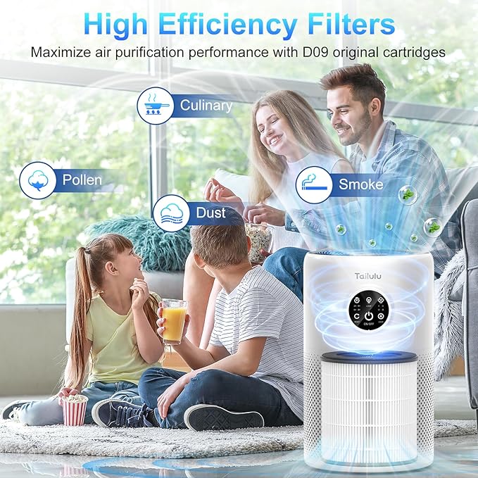 Tailulu 2 Pack D10 Replacement Filter, Air Purifier Filter - Image 6