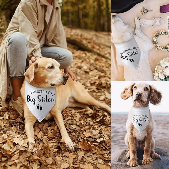 Promoted to Big Sister Pregnancy Announcement Dog Bandana Baby Gender Reveal - Image 6