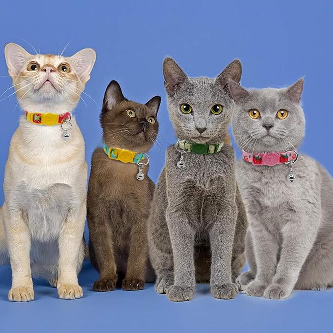 azuza 4 Pack Cat Kitten Collar Breakaway - Image 4