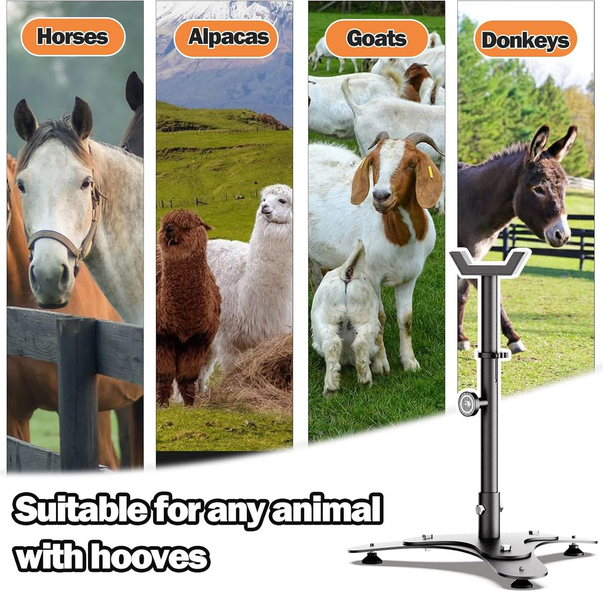 Farrier Horse Hoof Stand