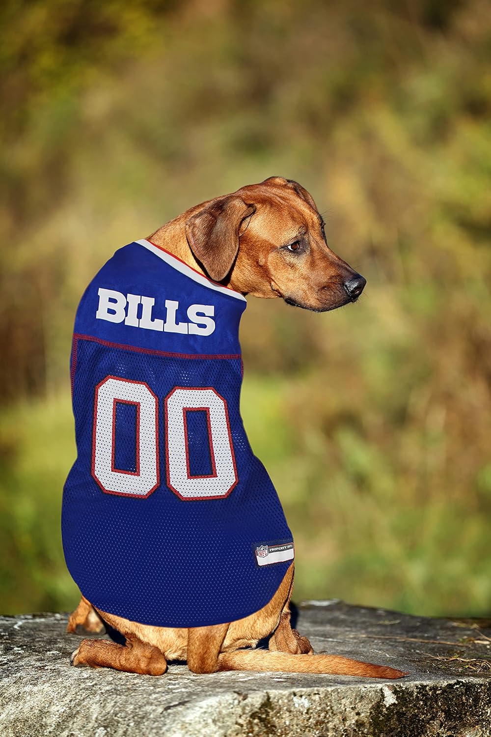 Pets First NFL Buffalo Bills Dog Jersey, Size Small, Football Shirt Costume for Pet, Dog Sports T-Shirt, NFL Team Clothing for Cats, Licensed Pet Apparel Available in 7 Sizes and 32 Teams