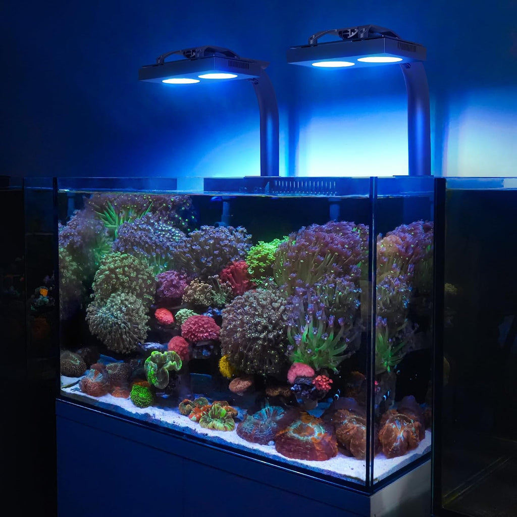 NICREW HyperReef 100 Gen 2 LED Reef Aquarium Light, 100W for LPS SPS Corals