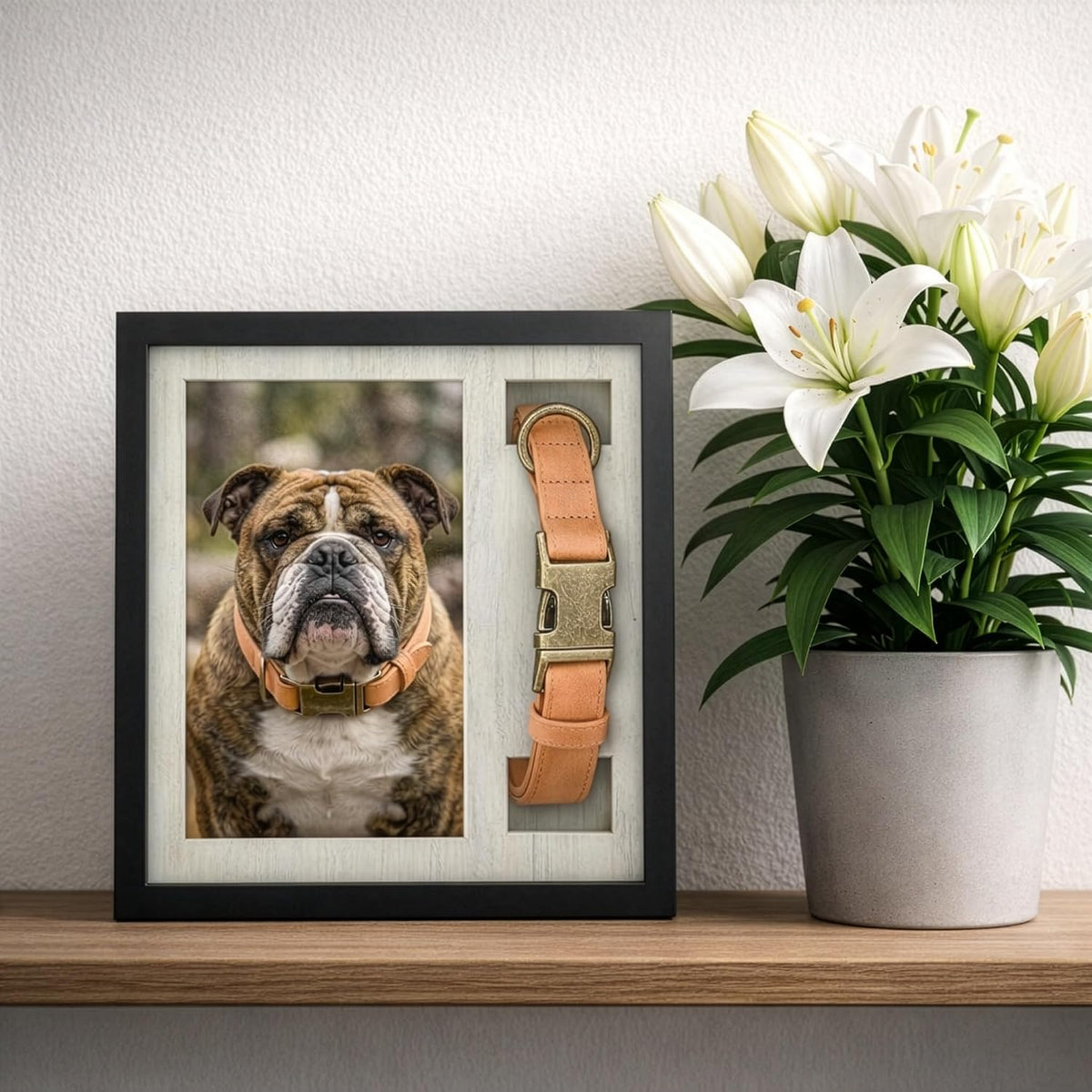 OtterPets Dog Memorial Picture Frame 9x9 with Collar Holder, 5 Displays