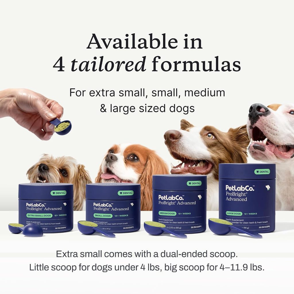 PetLab Co. ProBright Advanced Dental Powder, Small Dogs