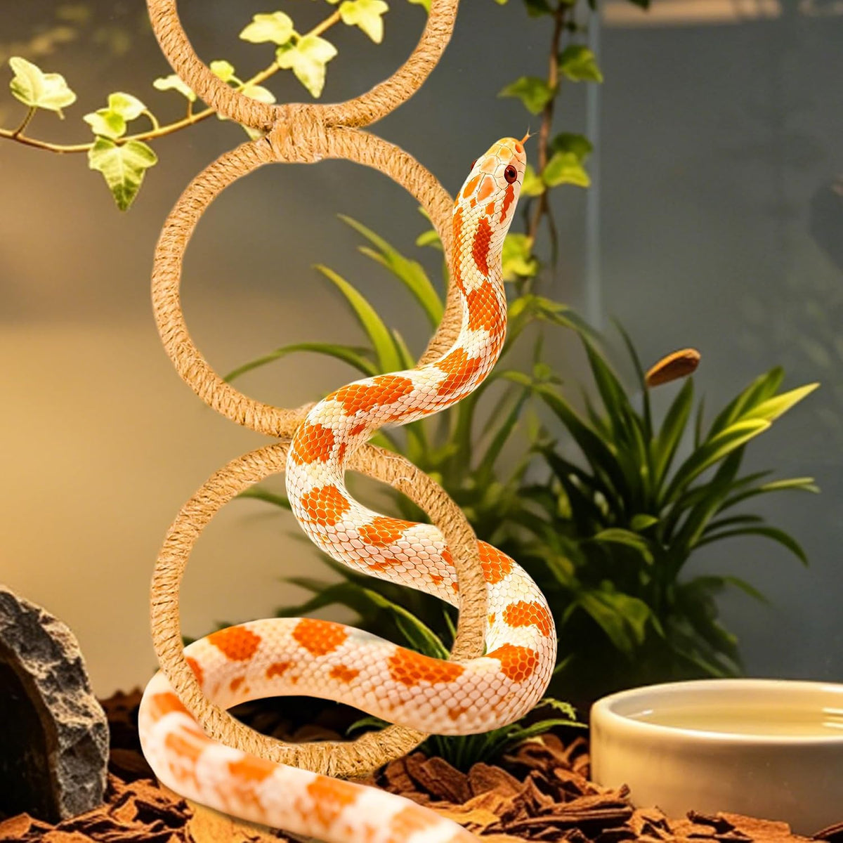 Reptile Climbing Rings 2-Pack, Suction Cup Mounted Tank Decor for Snakes, Bearded Dragons, and Lizards, Habitat Enrichment Accessory