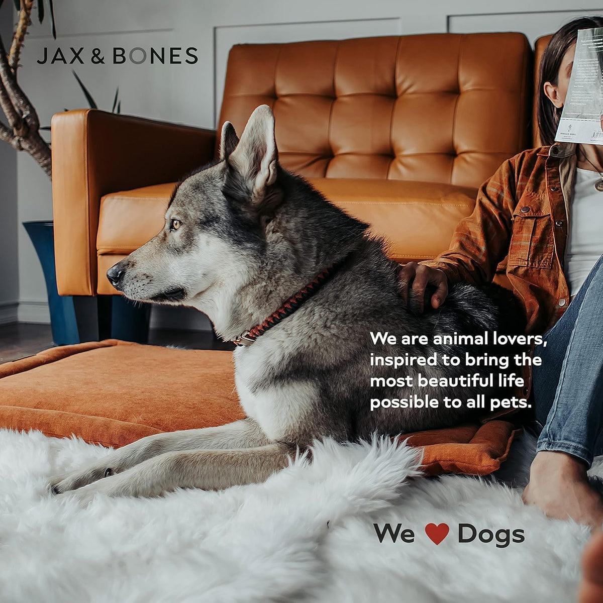 Jax & Bones Dog Crate Cover & Mat w/Bumper, Machine Washable, Made in USA