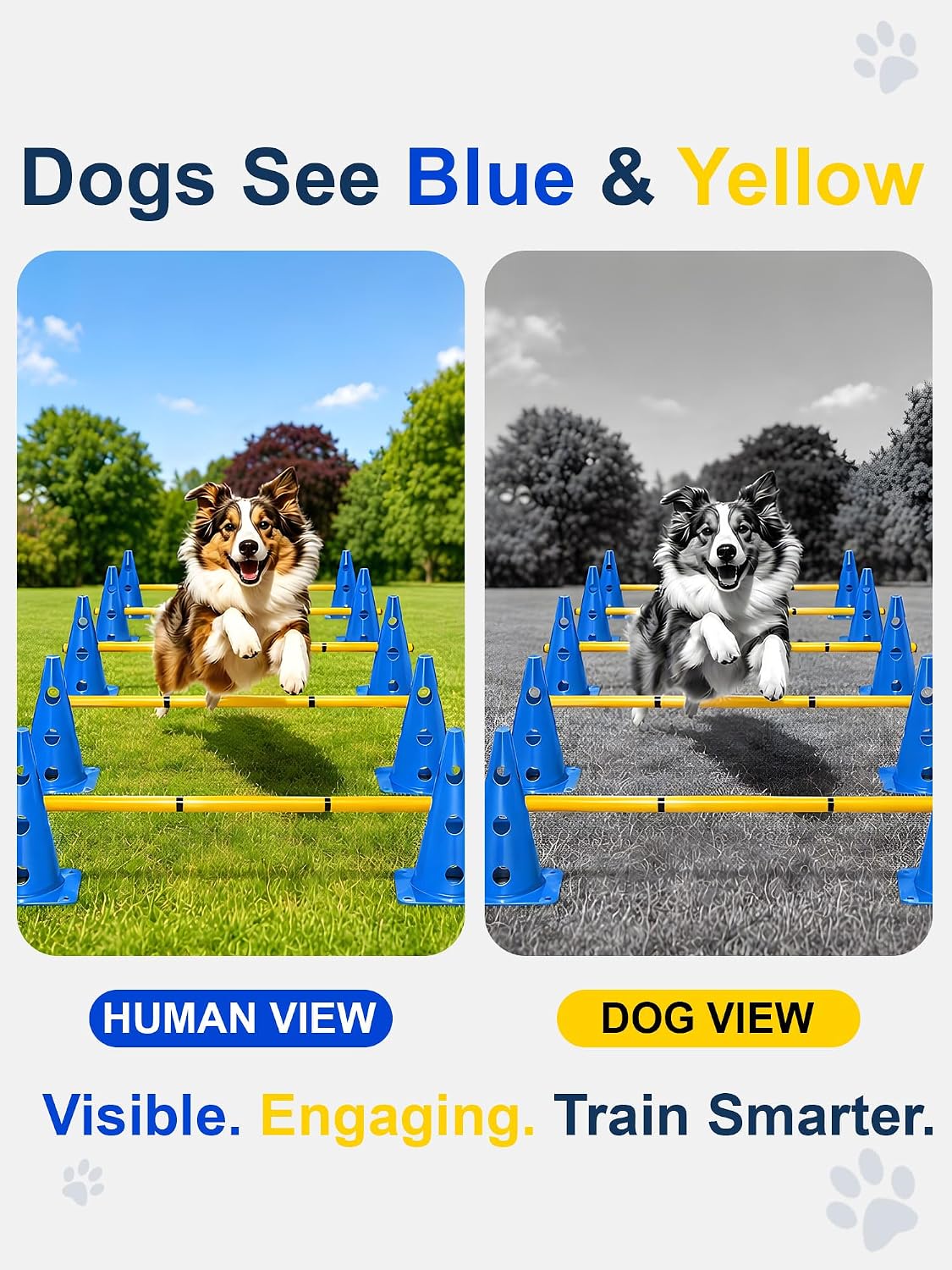 Dog Agility Training Hurdle Cone Set, Adjustable Dog Agility Equipment Obstacle Course Backyard Equipment for Pet Exercise 6 Set