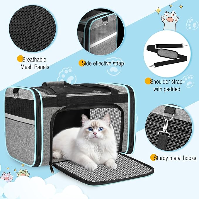 HUANLANG Soft-Sided Cat Carrier Airline Approved, Dog Carriers - Image 3