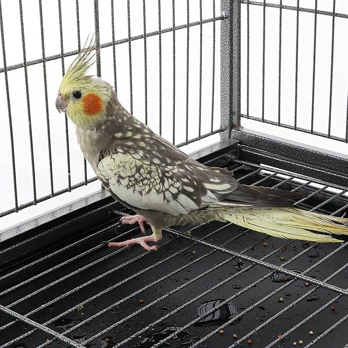 Topeakmart Wrought Iron Large Flight Parrot Bird Cage - Image 5