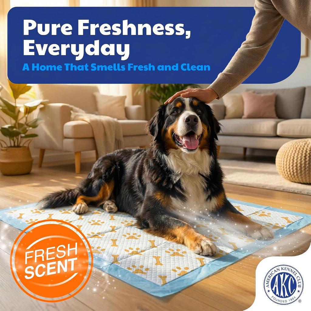 AKC Health Monitoring Dog Training Pads, XL 28" x 30", Fresh Scent, 50 Ct