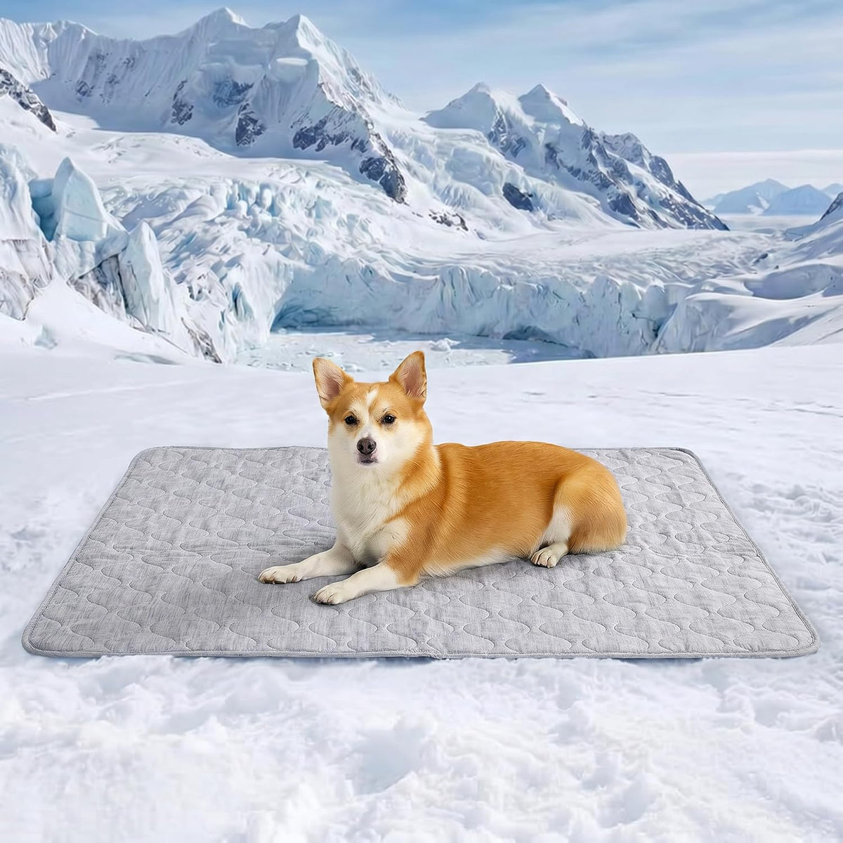 Cozy Bliss Leakproof Cooling Blanket for Large Dogs – Q-Max 0.5, Durable & Washable Dog Cooling Mat for Hot Weather, Soft Pet Throw & Couch Protector for Dogs & Cats, 40x60 Inch, Heather Silver Grey