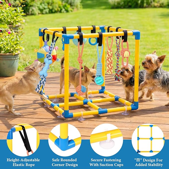 Puppy Play Gym for Small Dogs - Image 3
