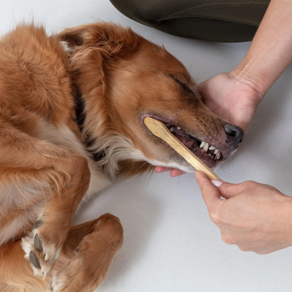 Dog and Cat Toothbrush - Two Sided Bamboo, Soft Bristles 4-Pack