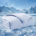 Bedsure ArcticMax™ Q-MAX>0.5 Premium Cooling Blanket for Medium Dogs，30x40