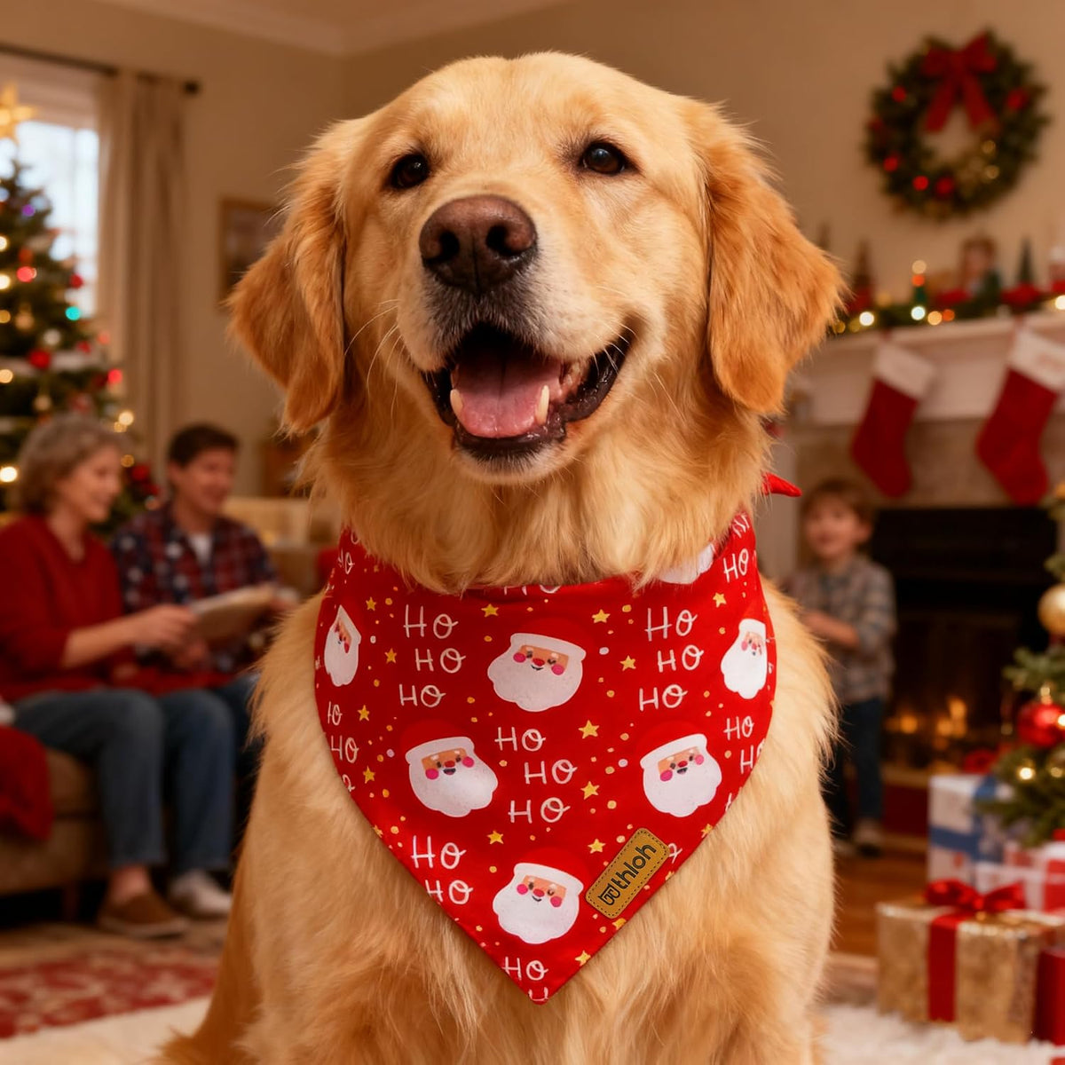 Christmas Dog Bandanas - 2 Pack Reversible Santa Claus and Christmas Tree Dog Scarf for Boy & Girl, Premium Durable Fabric, Festival Dog Bib, Holiday Bandana for Medium & Large Dogs (Large)