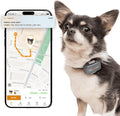 Pawfit Lite for Small Dogs 4g GPS Tracker | Real Time Tracking | Activity by Pawfit