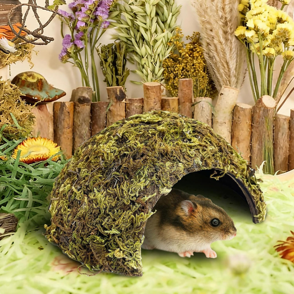 BNOSDM Hamster Hideout 2Pcs Natural Mossy Cave Houses