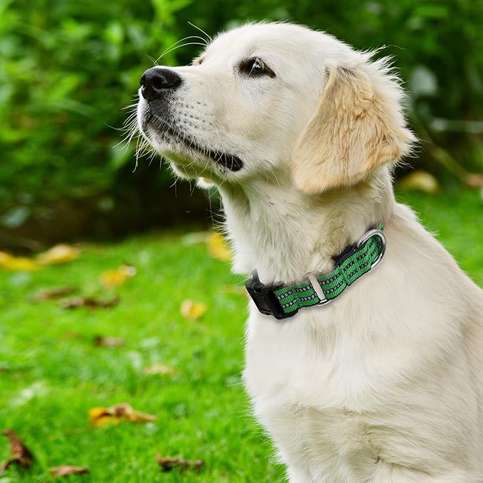 Hikiko Martingale Dog Collars Reflective Nylon Dog Collar - Image 2