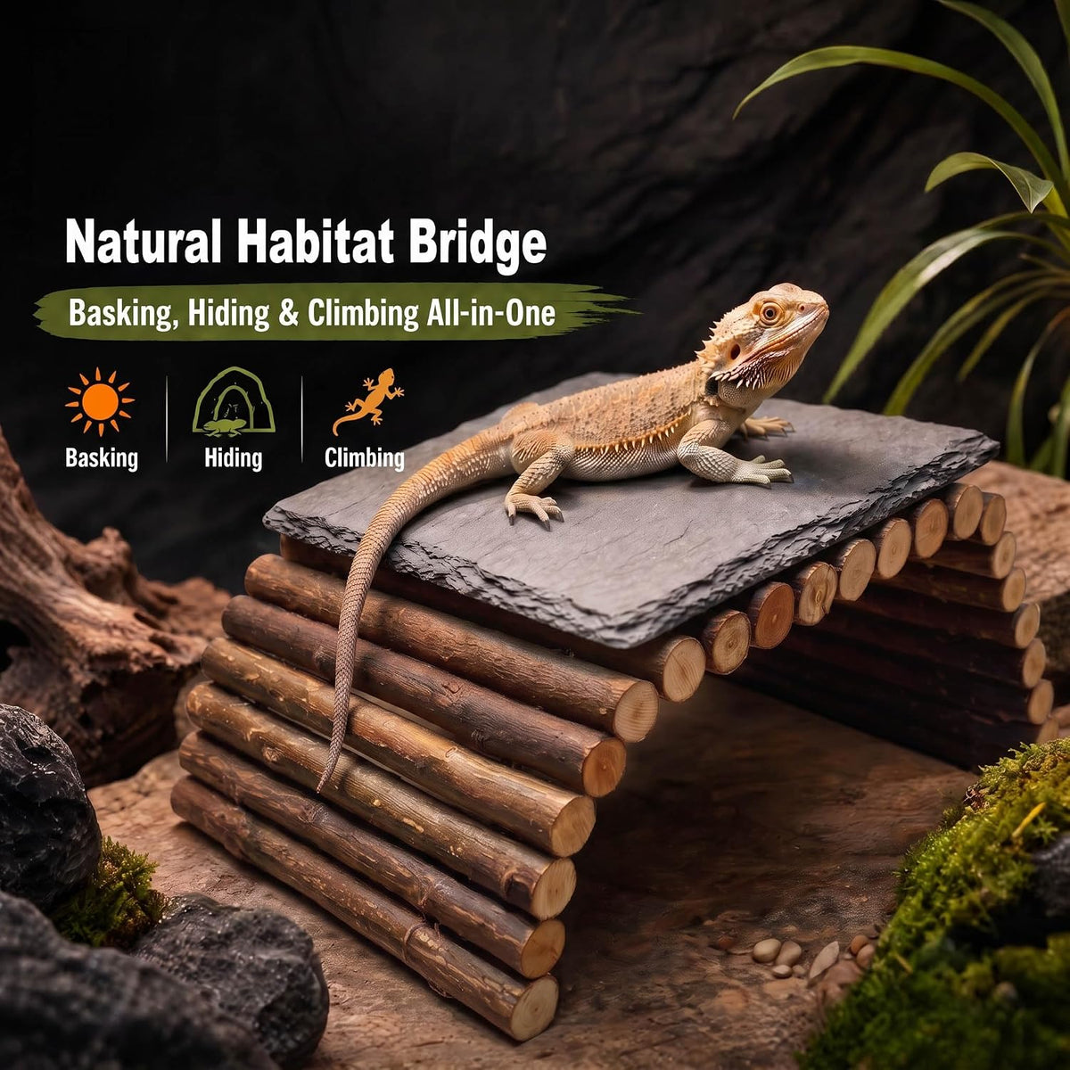 Bearded Dragon Tank Accessories – Rock Basking Platform with Wooden Climbing Ramp, Basking Rocks for Bearded Dragons, Reptile & Amphibian Habitat Hideouts for Tortoise, Gecko & Snake.