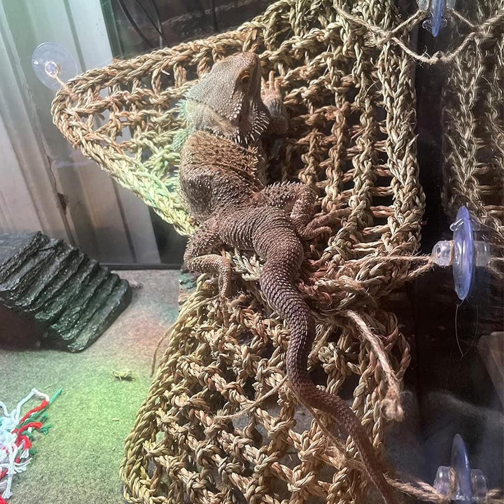 Seagrass Hammock for Bearded Dragon,4PCS Lizard Lounger,Natural Seagrass Gecko Hammocks with Hanging Plants Climbing Jungle Vines Flexible Leaves Habitat Decoration for Lizard Geckos Snakes