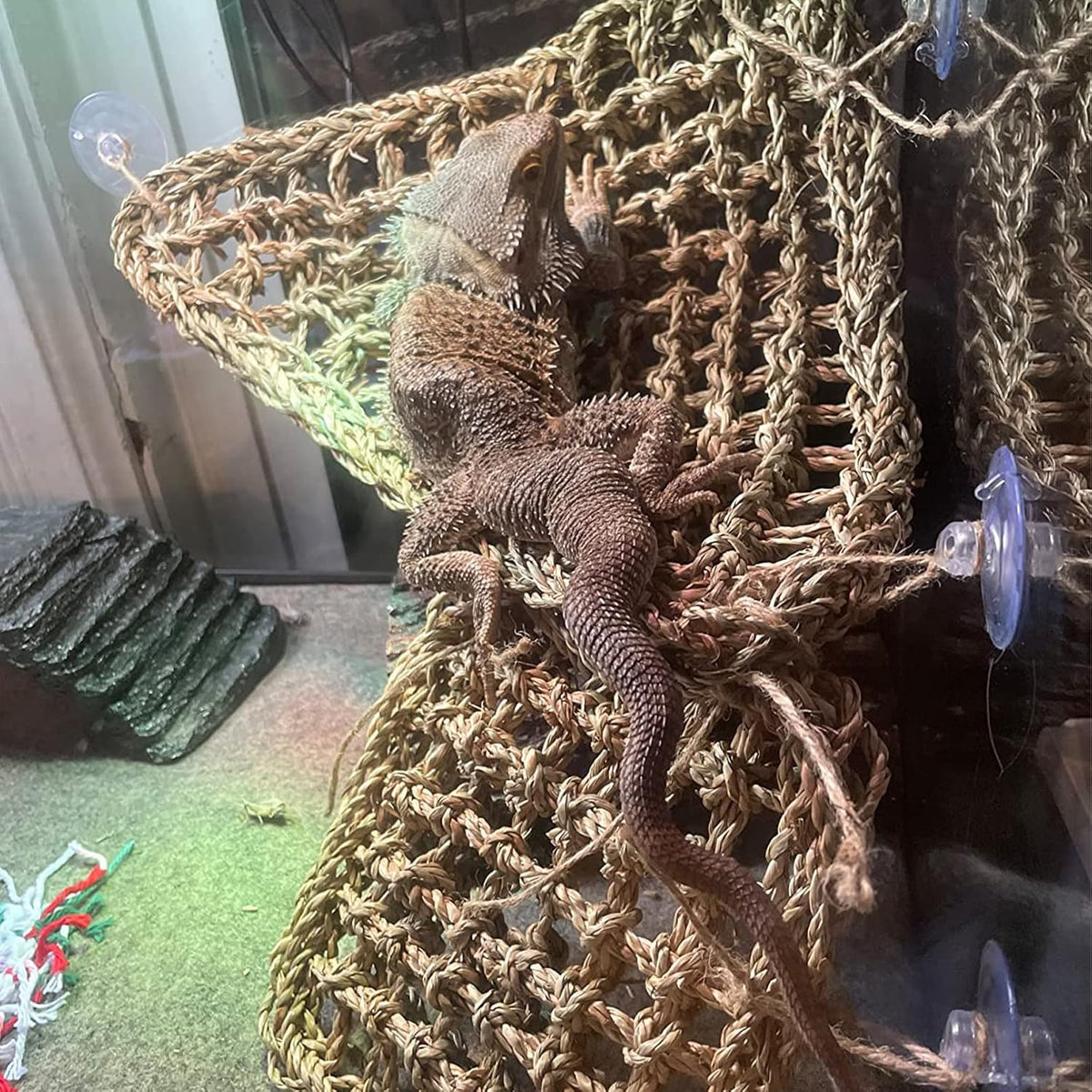 Seagrass Hammock for Bearded Dragon,4PCS Lizard Lounger,Natural Seagrass Gecko Hammocks with Hanging Plants Climbing Jungle Vines Flexible Leaves Habitat Decoration for Lizard Geckos Snakes