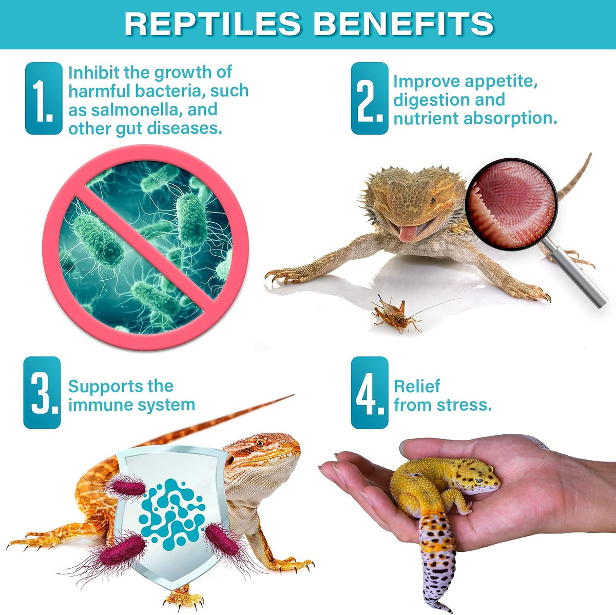 Gargeer 2oz All Reptile Probiotics. Improved Appetite & Digestion. USA Made