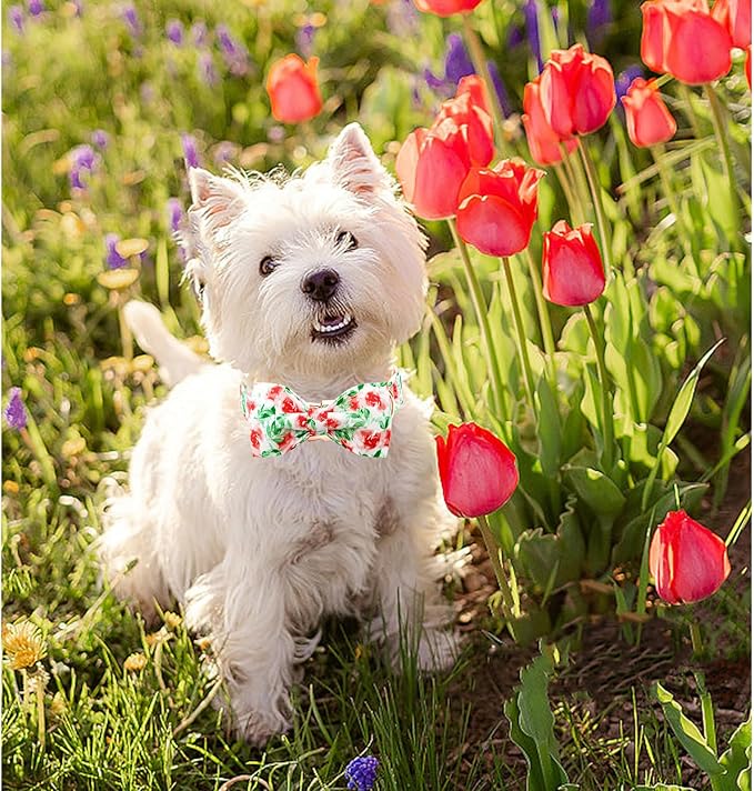 Lionheart glory Dog Collar Bow Collar Floral Dog Collar - Image 3