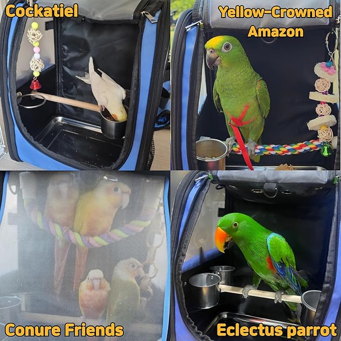 Birds Day Bird Carrier Backpack-Parrot Travel Cage - Image 7