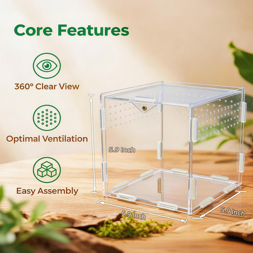 Portable Acrylic Jumping Spider Terrarium 5.9" Cube for Spider, Mantis