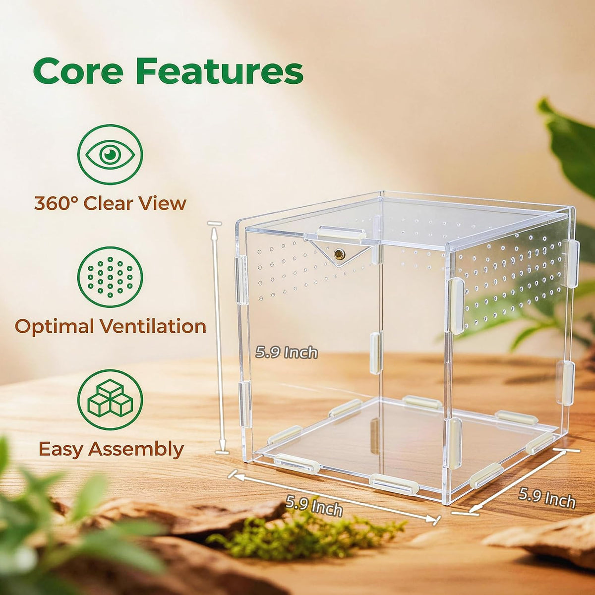 Portable Acrylic Jumping Spider Terrarium 5.9" Cube for Spider, Mantis
