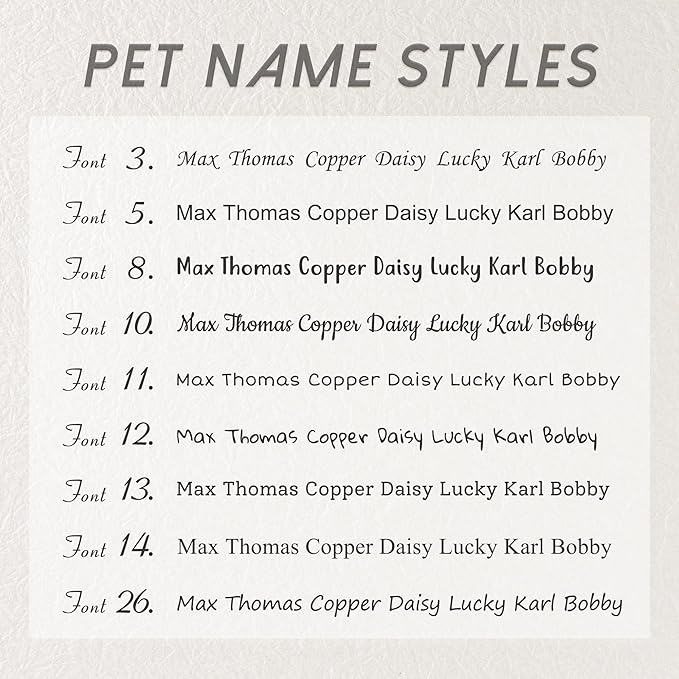 Anavia Personalized Pet ID Tags, Stainless Steel Glossy Laser Engraved Dog Cat - Image 4