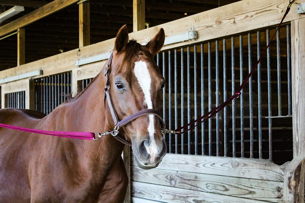 Tack Shack of Ocala Nylon Quick Release Cross Ties, Set of 2, Cross Ties for Barn, Stable Supplies