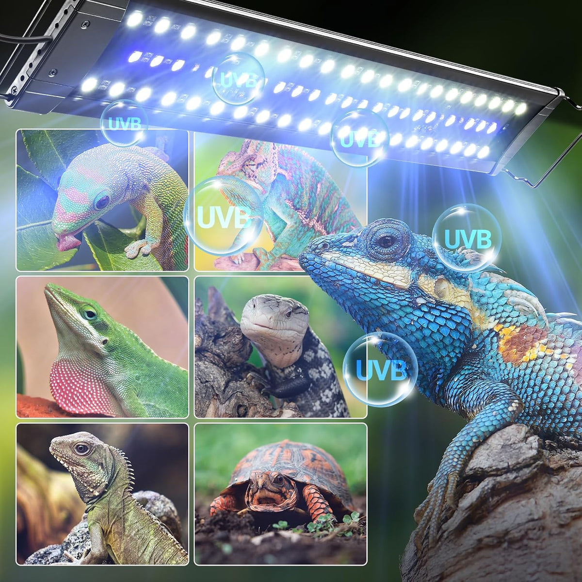 REPTI ZOO UVB Reptile Light with Dimming | 10.0 UVB LED Light Bulb for Desert Reptile | 12W 28 inch UVB Lamp for Bearded Dragon Snake Gecko Lizard | Reptile Light Bar Fixture with Controller