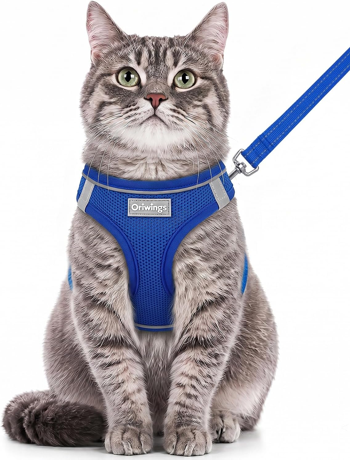 Cat Harness and Leash Set, Step-in Soft Vest, Royal Blue, M