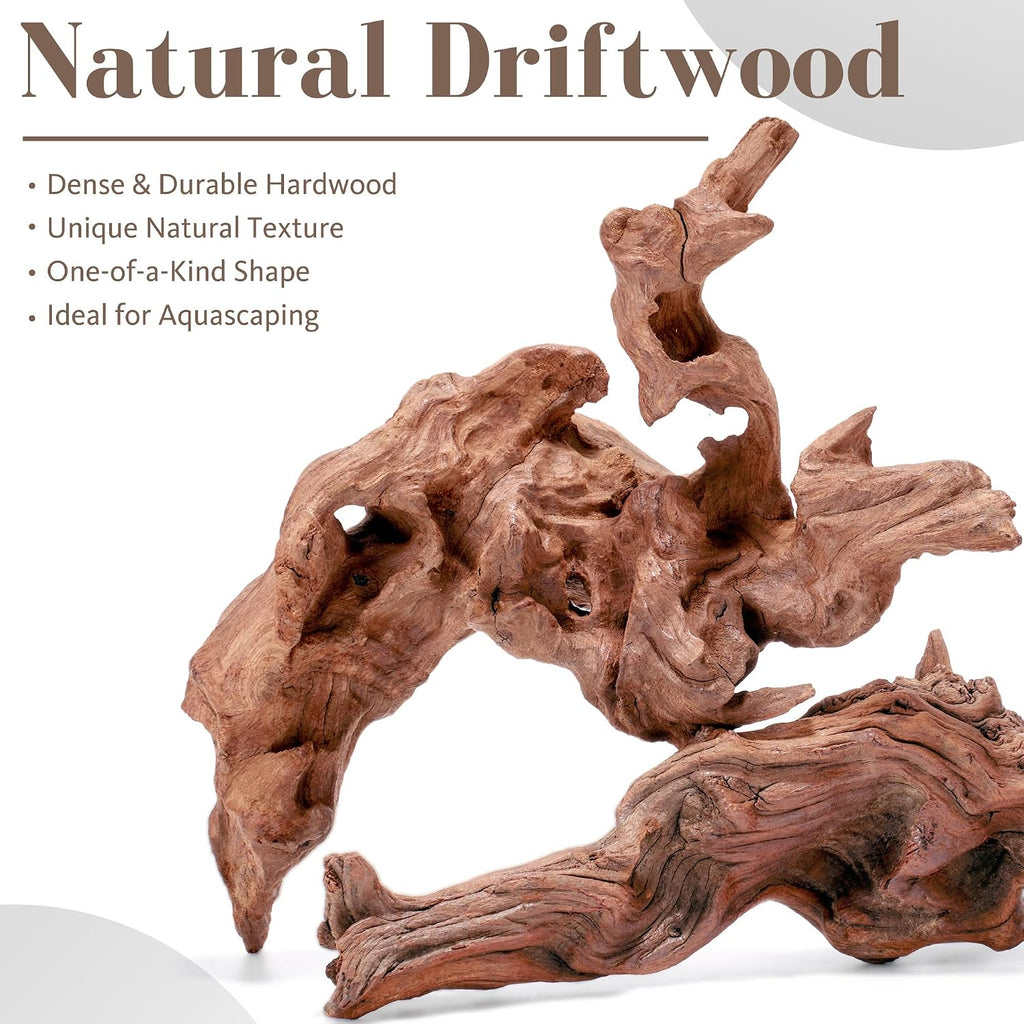 Driftwood for Aquarium, 2PCS 8–10 Inch Natural Aquarium Driftwood for Fish Tank Decor, Aquascaping, Reptile Tanks & Terrariums