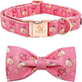 Elegant Little Tail Dog Collar by Elegantlittletail