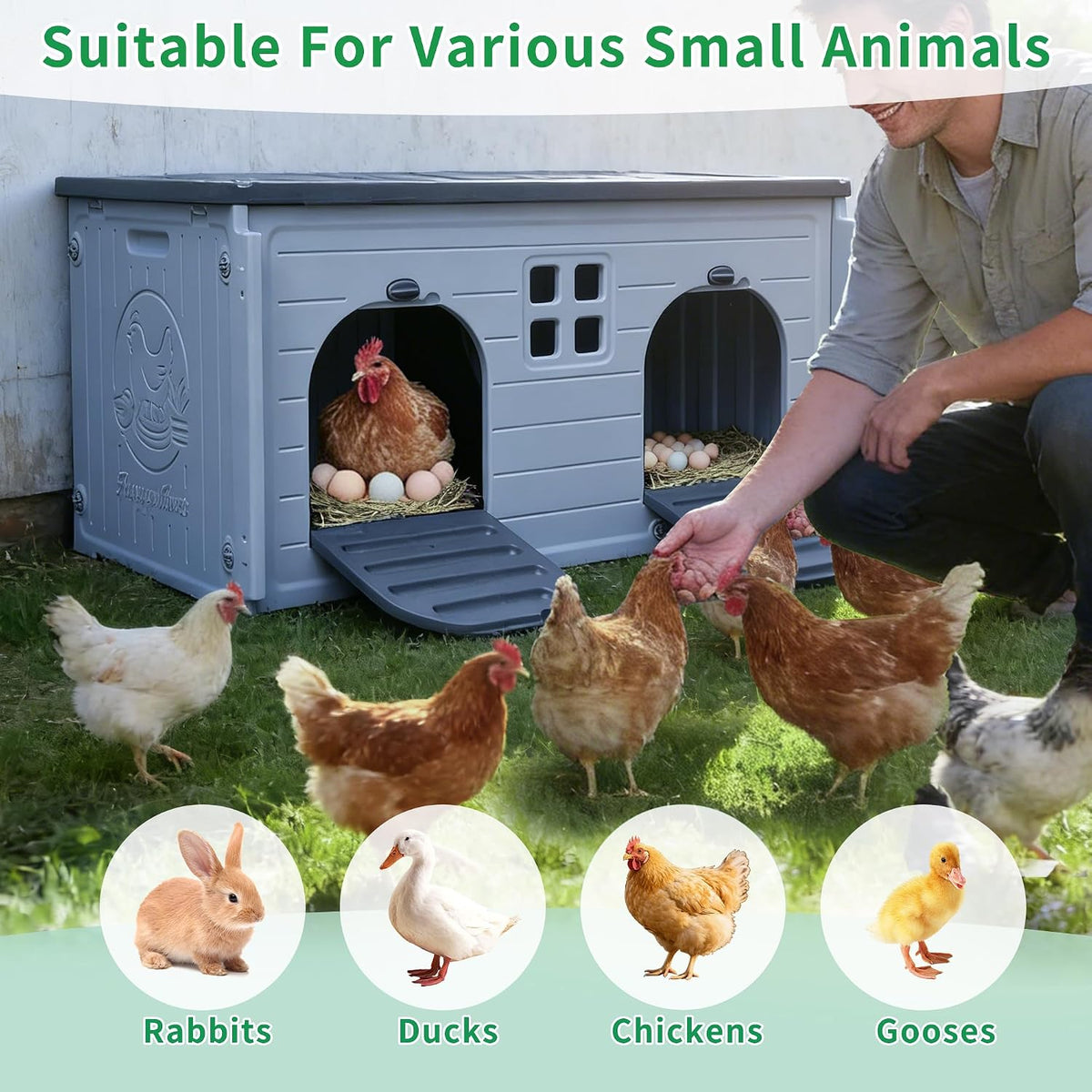 Nesting Boxes for Chickens, Plastic Chicken Nesting Box with Door Or Ramp