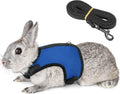 PETTOM Bunny Rabbit Harness with Stretchy Leash Cute Adjustable Buckle Breathable Mesh Vest for Kitten Small Pets Walking (Blue,XS)