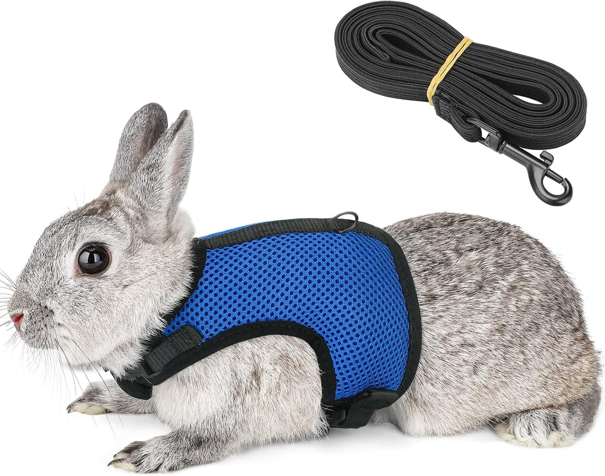 PETTOM Bunny Rabbit Harness with Stretchy Leash Cute Adjustable Buckle Breathable Mesh Vest for Kitten Small Pets Walking (Blue,XS)