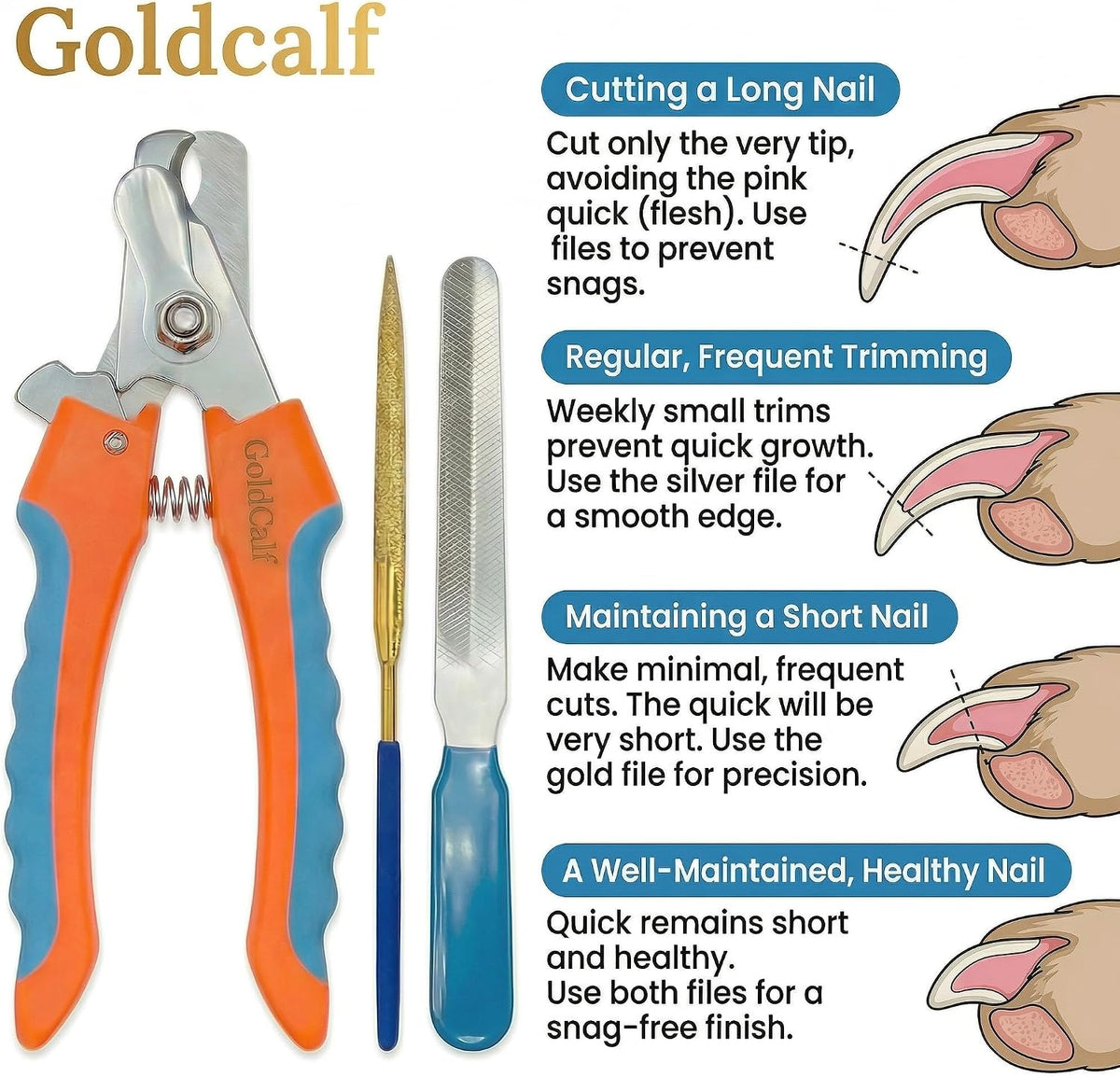 GoldCalf Professional Pet Claw Clippers Kit with Safety Guard, Diamond File for Small, Medium and Large Dogs & Cats