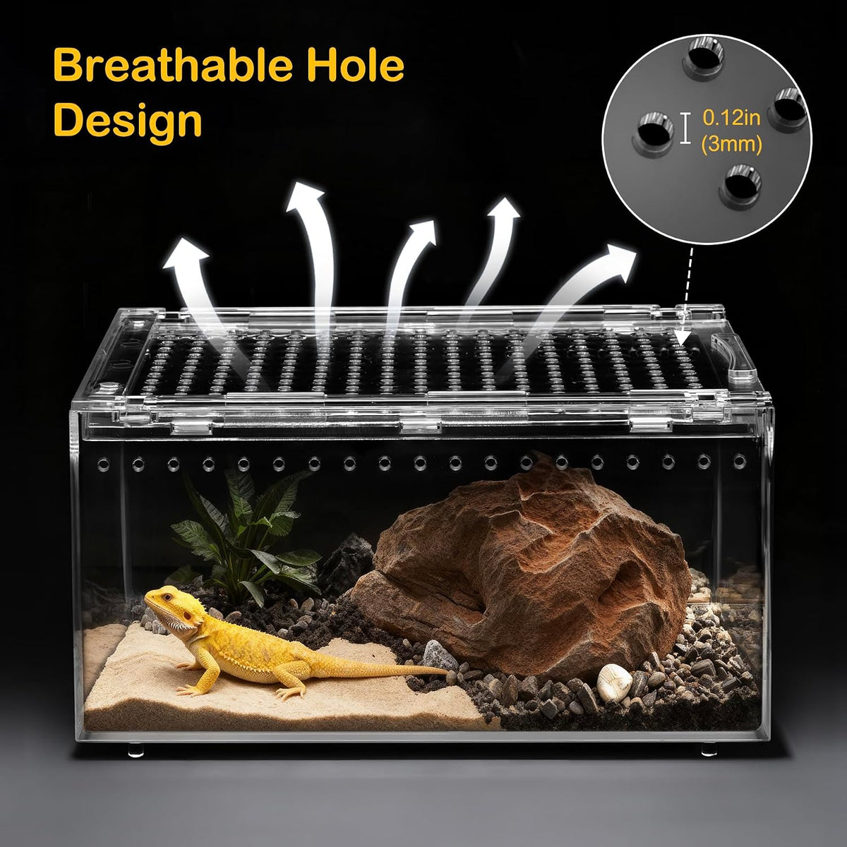 PC Small Reptile Terrarium Starter Kit,Magnetic Jumping Spider Enclosure
