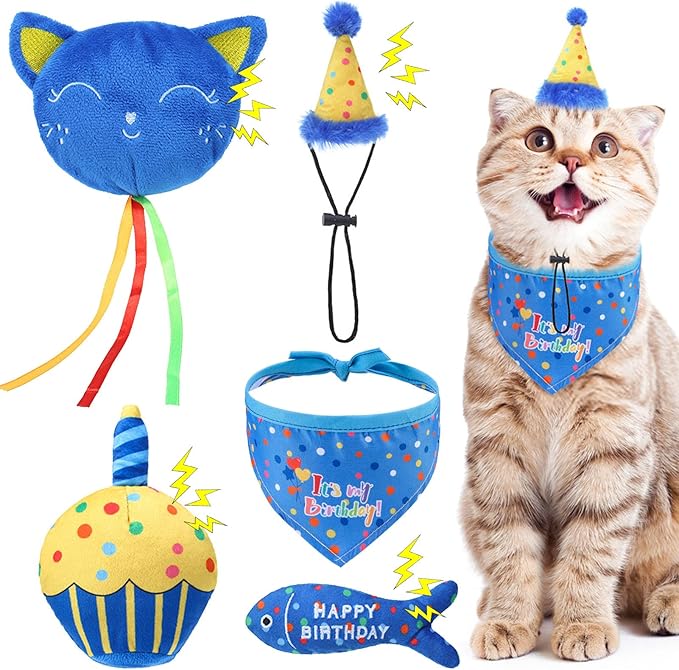 BINGPET Cat Birthday Catnip Toys by BINGPET