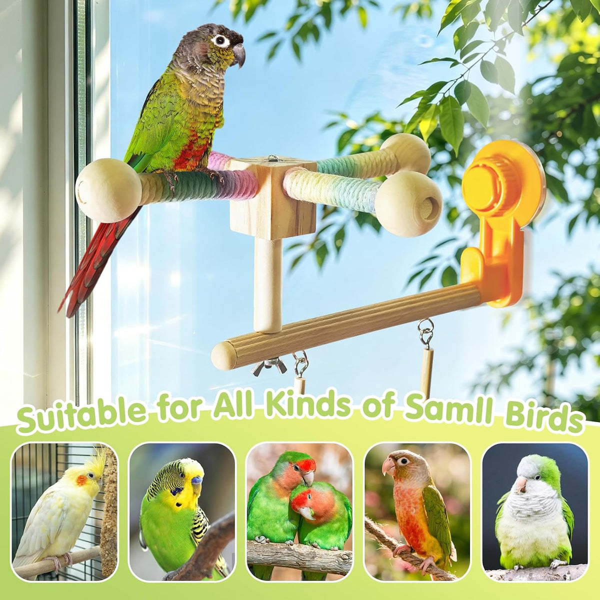 Bird Perch Toy Parrot Spinning Perch Swing Toy