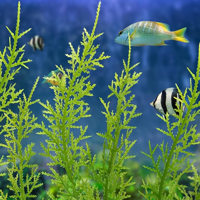 Fish Tank Accessories Large Plants, Aquarium Decor Plastic Plants 3pcs - Image 7