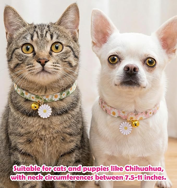 2 Pack Cat Collar Breakaway, Daisy Collar - Image 7
