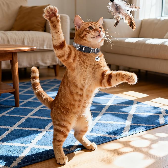 Puppy Collar with Bell，Nylon - Image 2