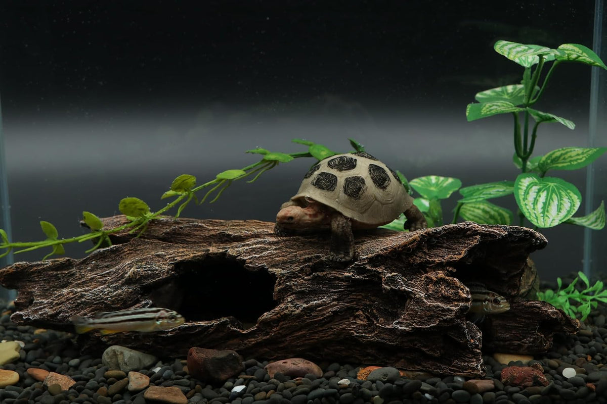 AQUA KT Reptile Hideout Terrarium Tree Trunk Hollow Log Cork Bark for Snake