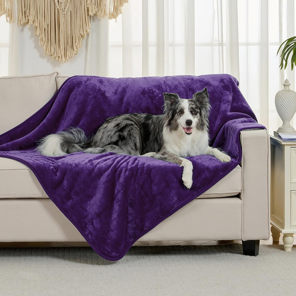 Soft Waterproof Blanket for Bed Couch Sofa, Dark Purple, 50x60inches