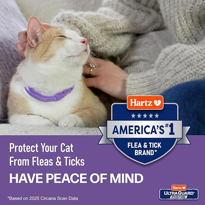 Hartz UltraGuard ProMax Flea & Tick Collar - Image 8