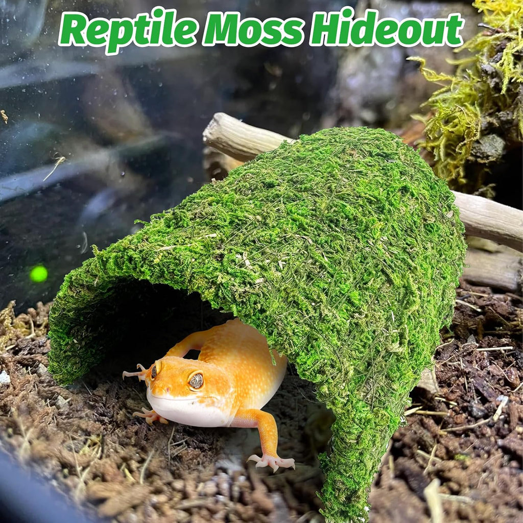 Reptile Hideout Handmade Natural Moss Hide Cave, Style A